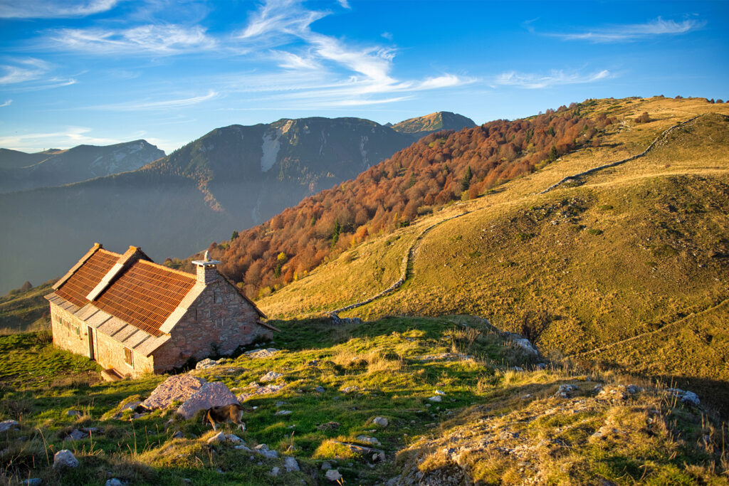 Lessinia paesaggio autunnale con malga