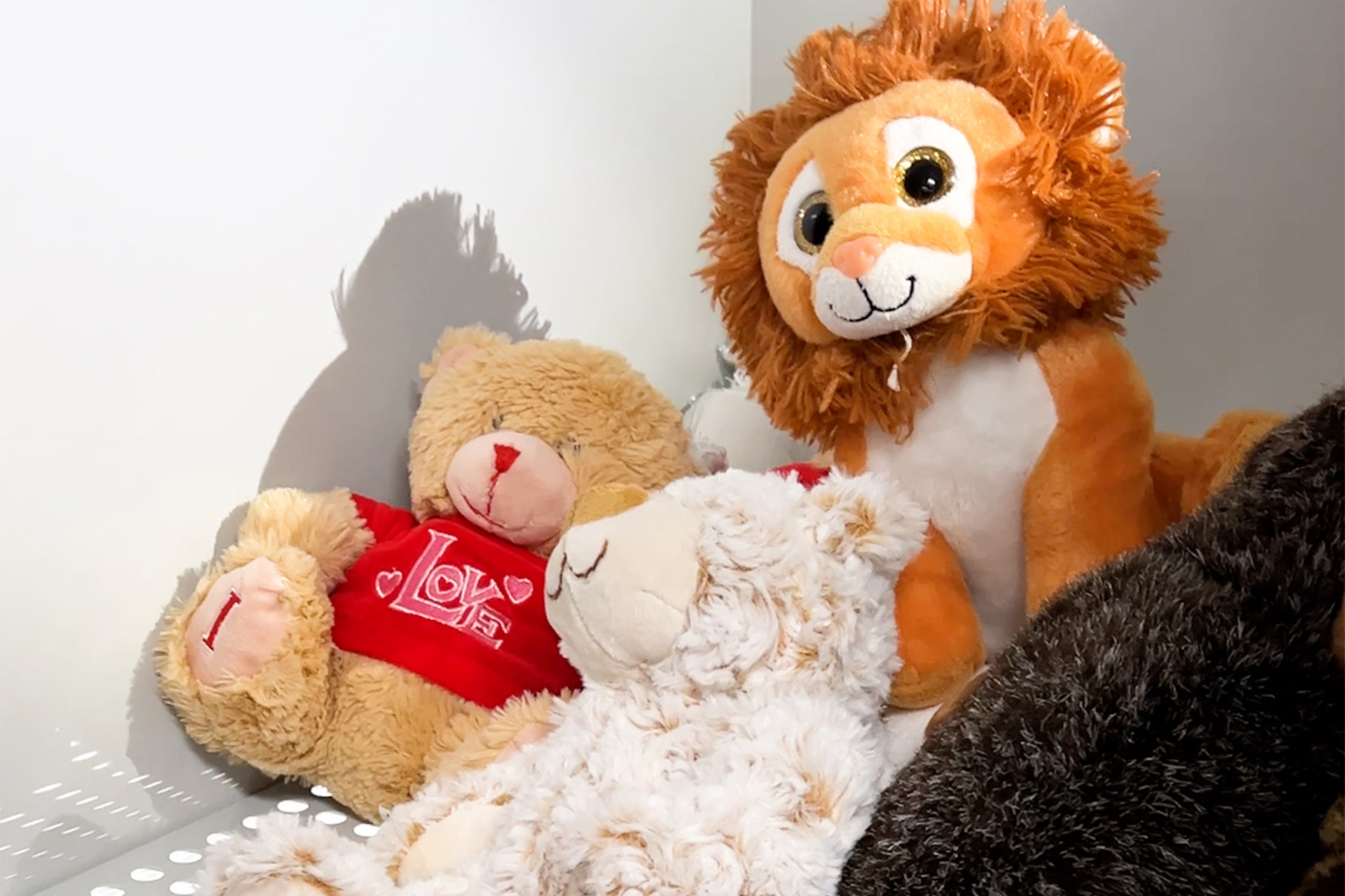 Igienizzazione con Ozono - peluche e giocattoli bambini